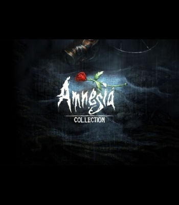 Buy Amnesia - Collection Global CD Key and Compare Prices