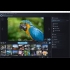 Buy Ashampoo Photo Optimizer 7 Global CD Key and Compare Prices
