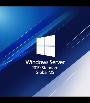 Buy Windows Server 2019 Standard Global MS CD Key and Compare Prices