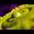 Buy Bug N Out Global CD Key and Compare Prices