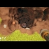 Buy A Game About Digging A Hole Global CD Key and Compare Prices