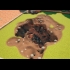 Buy A Game About Digging A Hole Global CD Key and Compare Prices
