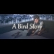 Buy A Bird Story Global CD Key and Compare Prices