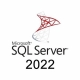 Buy MS SQL Server 2022 Standard - 16 Core Global MS CD Key and Compare Prices