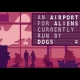 Buy An Airport For Aliens Currently Run By Dogs Global CD Key and Compare Prices