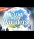 Buy Age of Wonders 4 - Steam Account Global Steam CD Key and Compare Prices