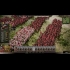 Buy Ancient Warfare: The Han Dynasty CD Key and Compare Prices