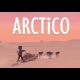 Buy Arctico Global CD Key and Compare Prices