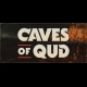 Buy Caves of Qud Global Steam Gift CD Key and Compare Prices