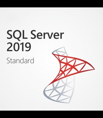Buy SQL Server 2019 Standard - 10 Core Global MS CD Key and Compare Prices