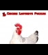 Buy Chicken Labyrinth Puzzles Global CD Key and Compare Prices
