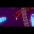 Buy Biology Battle Global CD Key and Compare Prices