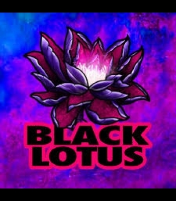 Buy Black Lotus Motel Global CD Key and Compare Prices