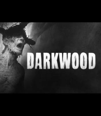 Buy Darkwood Deluxe Edition Global CD Key and Compare Prices