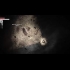 Buy Darkwood Deluxe Edition Global CD Key and Compare Prices