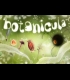 Buy Botanicula Global CD Key and Compare Prices