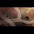 Buy Botanicula Collector's Edition Global CD Key and Compare Prices