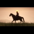 Buy Red Dead Redemption 2 (PC) CD Key and Compare Prices