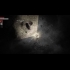 Buy Darkwood CD Key and Compare Prices