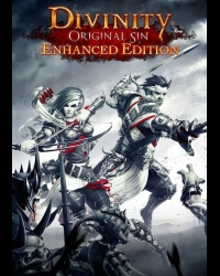 Buy Divinity: Original Sin (Enhanced Edition) CD Key and Compare Prices