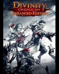 Buy Divinity: Original Sin (Enhanced Edition)  CD Key and Compare Prices