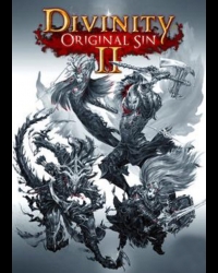 Buy Divinity: Original Sin 2 – Eternal Edition CD Key and Compare Prices