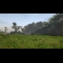 Buy Risen 2: Dark Waters (Gold Edition) CD Key and Compare Prices