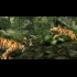 Buy Tomb Raider: Underworld CD Key and Compare Prices