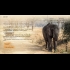 Buy Wanderlust Travel Stories (PC) CD Key and Compare Prices