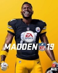 Buy Madden NFL 19 (ENG)  CD Key and Compare Prices