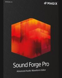 Buy MAGIX Sound Forge Pro 13 Official Website CD Key and Compare Prices
