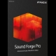 Buy MAGIX Sound Forge Pro 13 Official Website CD Key and Compare Prices 