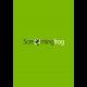 Buy Screaming Frog SEO Spider 1 Device 1 Year Key CD Key and Compare Prices