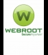 Buy Webroot SecureAnywhere AntiVirus 3 Devices 1 Year Key CD Key and Compare Prices