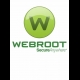 Buy Webroot SecureAnywhere AntiVirus 5 Devices 1 Year Key CD Key and Compare Prices