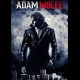Buy Adam Wolfe CD Key and Compare Prices