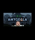 Buy Amygdala (PC) CD Key and Compare Prices