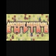 Buy Ancient Medieval Empire (PC) CD Key and Compare Prices