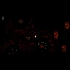 Buy Angry Space Bees (PC) CD Key and Compare Prices
