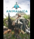 Buy Animallica CD Key and Compare Prices