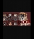 Buy Animals Memory: Dogs (PC) CD Key and Compare Prices