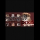Buy Animals Memory: Dogs (PC) CD Key and Compare Prices