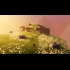 Buy Arise: A Simple Story (PC) CD Key and Compare Prices