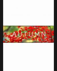 Buy Autumn CD Key and Compare Prices