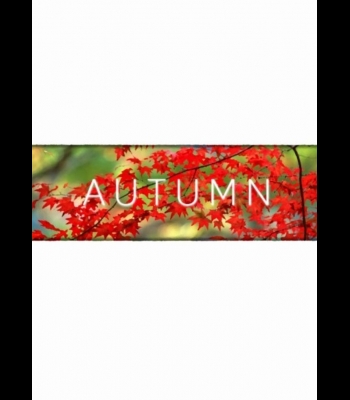 Buy Autumn CD Key and Compare Prices