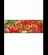 Buy Autumn CD Key and Compare Prices