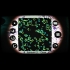 Buy Bacteria CD Key and Compare Prices