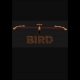 Buy Bird (PC) CD Key and Compare Prices