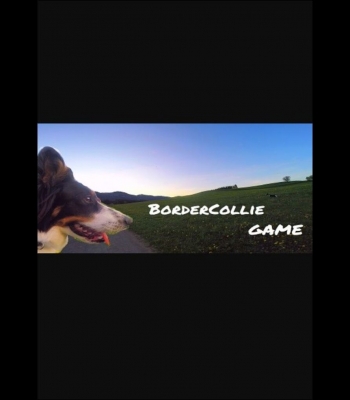 Buy BorderCollie Game (PC) CD Key and Compare Prices