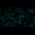 Buy Borealis (PC) CD Key and Compare Prices